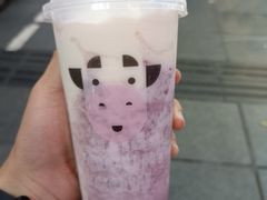 -一只酸奶牛(八一路店)