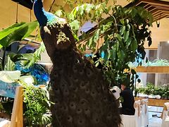 -新安人家·22年本地餐厅