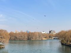 -济南大明湖景区