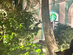 -星巴克臻选(广州沙面店)