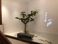 -松鹤楼·非遗·苏帮菜(融科店)