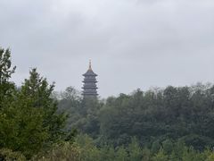 -重庆园博园
