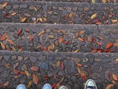 -神光山国家森林公园