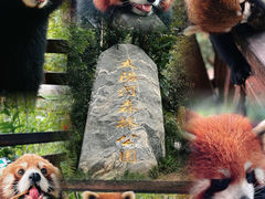 -普洱太阳河森林公园