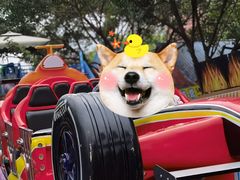 -南湖梦幻岛