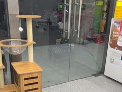 -四月宠物医院·猫专科·心脏专科·内科(转塘店)