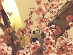 -大江户·温泉洗浴(浑南店)