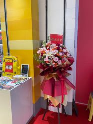 -乐高授权专卖店(中关村领展店)