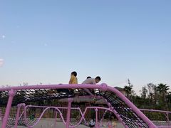 -九龙湖公园
