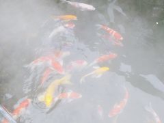 -西江印象酒楼