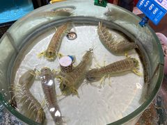 -强记海鲜·大排档(蛇口新街店)