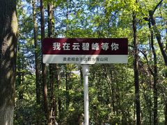 -云碧峰国家森林公园