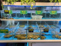 水产区-笨笨甲甲鱼坊(蓝堡湾店)