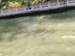 -皇家御河游(紫御湾码头)