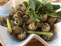 -Draft Beer Restaurant & Bar