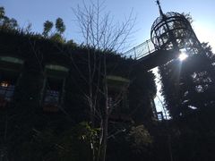 -三鹰之森吉卜力美术馆