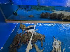 -阿尔法海鲜排档(爱琴海店)