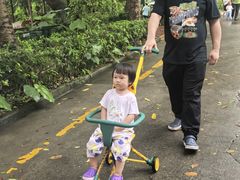 -深圳野生动物园