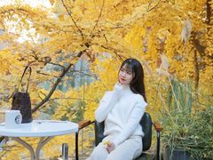 -腾爱熊猫咖啡生活馆(老东门店)