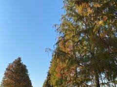 -广富林郊野公园