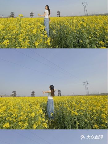 地理位置：高德搜油菜花基地即可，在一个美丽村落里