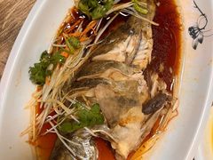 -掌勺人鱼馆(朝阳镇店)