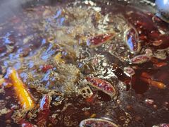 -黄潇洒老火锅(九眼桥宏济巷店)
