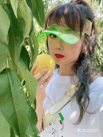 立秋了也到了黄桃的收获季节，每年这个时候都会驱车到镇