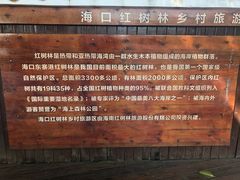 -东寨港红树林旅游区