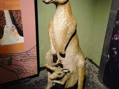 -上海海洋水族馆