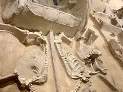 -洛阳周王城天子驾六博物馆