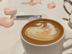 -BLACKSWAN黑天鹅(环球店)