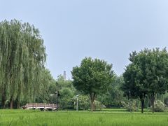 -北坞公园