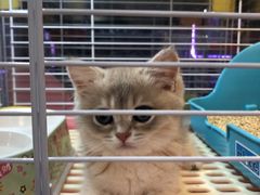 -宠爱我(南山店)