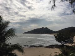 -广东惠东海龟国家级自然保护区