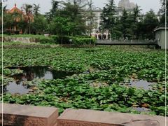 -四川大学(望江校区)