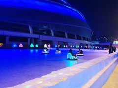 -沈阳奥体冰雪嘉年华