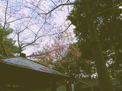 -嘉和K6温泉微度假