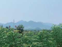 -北京张裕爱斐堡酒庄