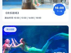 -海合安成都极地海洋公园