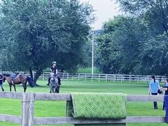 -北京群众马术培训基地