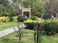 -晓港公园