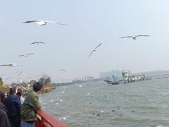 -滇池海埂公园
