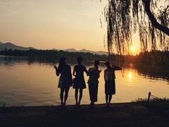 -苏堤停车场