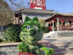 -阳台山自然风景区