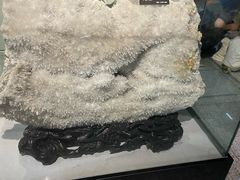 -河南自然博物馆