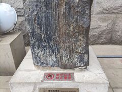 -中国地质博物馆