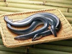 -东河市场