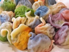 五彩饺子-宝源饺子(麦子店街店)