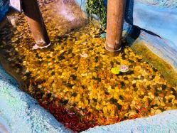 -酷嗒动物文化乐园(cutezoo西溪乐天城店)